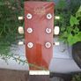 Vintage 1980's Hondo Dreadnought Acoustic Image 9