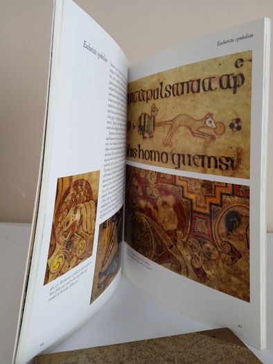 The Book of Kells: An Illustrated Introduction to the Manuscript in Trinity College Dublin by Bernard Meehan (PT241)
