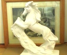 The Window Horse