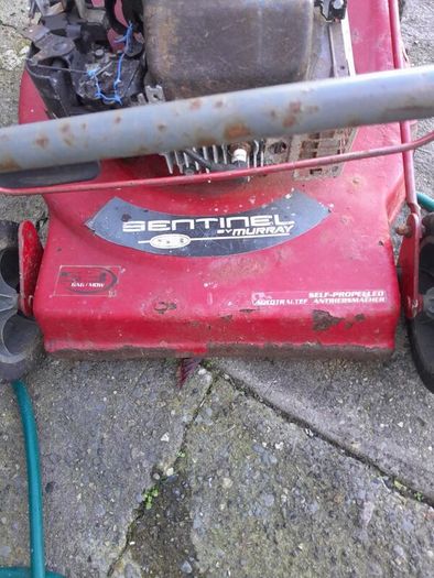 free petrol lawnmower