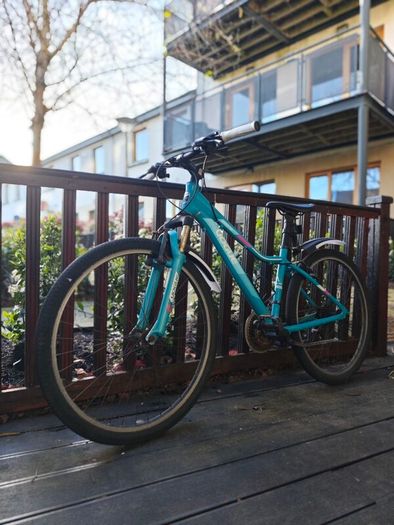 Procycle Vogue bicycle