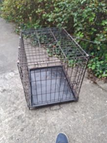 dog cage