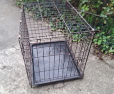 dog cage