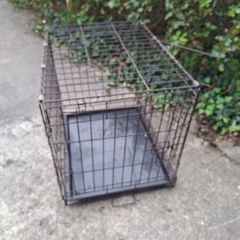 dog cage