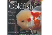fancy goldfish - a complete guide to care &amp; caring (HB)