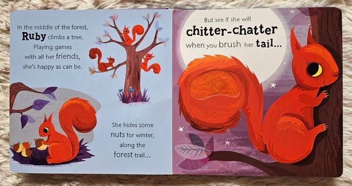 Owl Says Hoot - A Noisy Touch-and-Feel Night Book