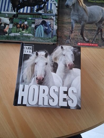 horse books
