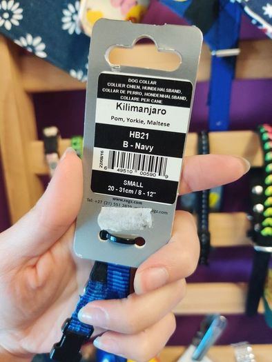 Dog collars on sale
