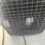 Pet Carrier Image 3