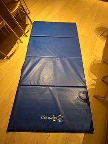 Sure shot gymnastics 4ft x 8ft folding crash matt