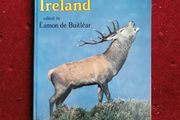Wild Ireland - Eamonn de Buitlear