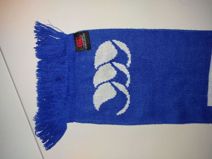 leinster rugby scarf