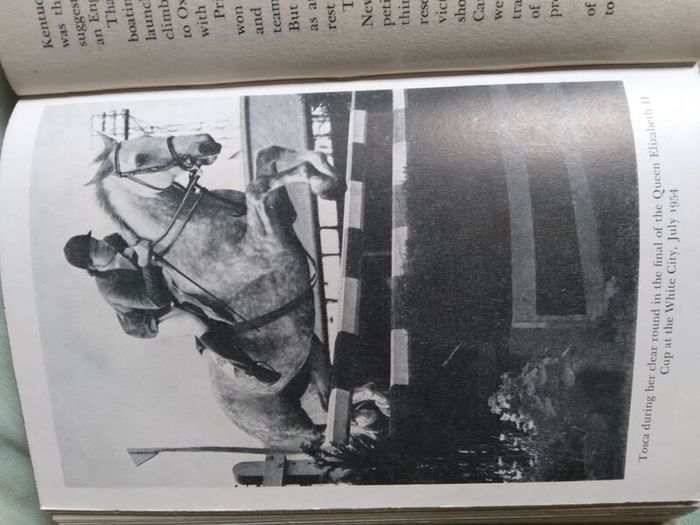Horse / Equestrian Books