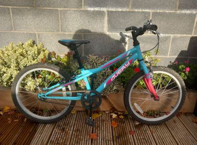 20" Bike