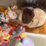 Teddy bears for sale (each sold separately!) prices below Image 4