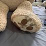 teddy Image 2