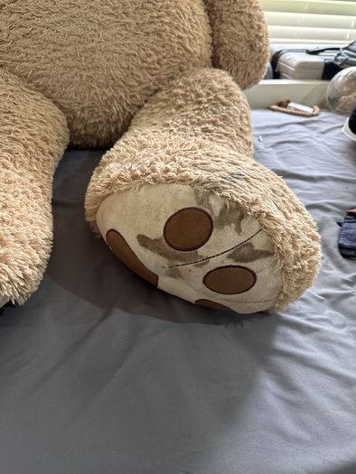 teddy