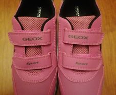 Girls "Geox" trainers, BRAND NEW IN BOX