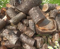 BBQ, Smoke house. Cherry wood in whatever pieces you need: shavings, kindling, or larger pieces.