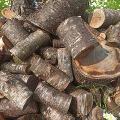 BBQ, Smoke house. Cherry wood in whatever pieces you need: shavings, kindling, or larger pieces.