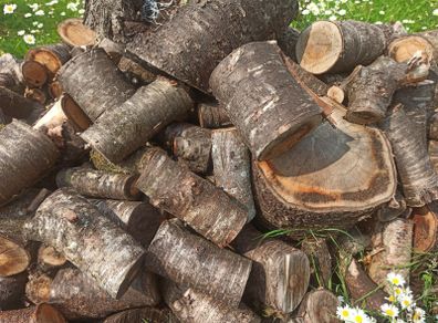 BBQ, Smoke house. Cherry wood in whatever pieces you need: shavings, kindling, or larger pieces.
