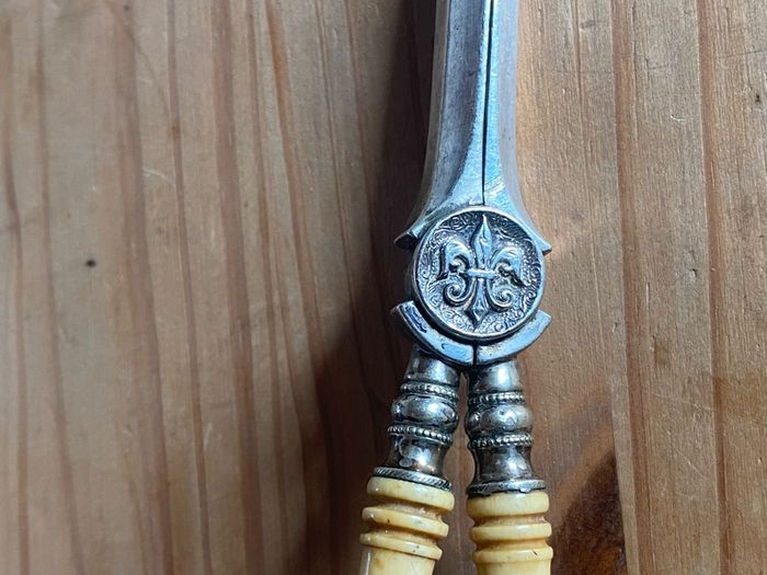 Vintage Silver Plated Grape Scissors Bone Handle