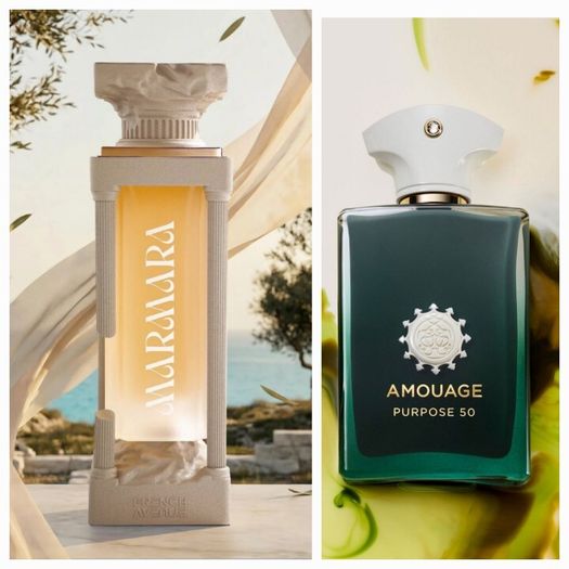 MARMARA by French Avenue  The Epitome of Masculine Power  Luxury