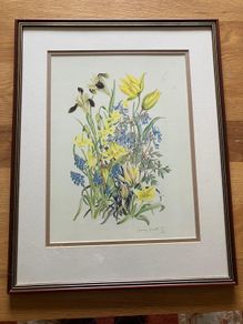 Limited edition botanical print by Jenny Jowett