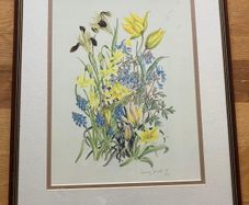 Limited edition botanical print by Jenny Jowett