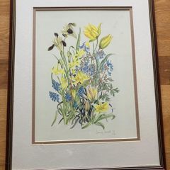 Limited edition botanical print by Jenny Jowett