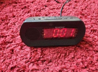 Radio clock alarm