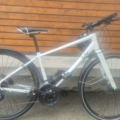 ladies bicycle