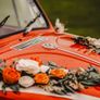 VW Vintage Beetle Image 2