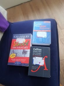 Dictionaries