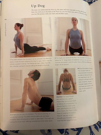 Yoga and Pilates for Everyone Book