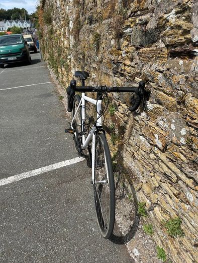 Genesis Equilibrium Steel Road Bike