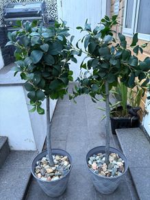 Artificial tree