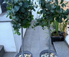 Artificial tree
