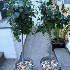 Artificial tree