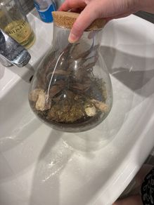 terranium
