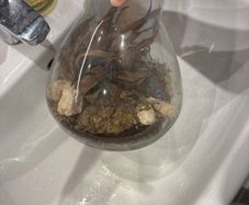 terranium