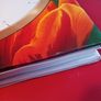 One Hour Garden / Hamlyn Image 5