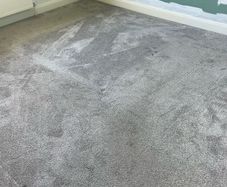 FREE Bedroom Carpet