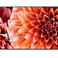 Sony Bravia Kd65xf9005bu, 65 Inch Tv