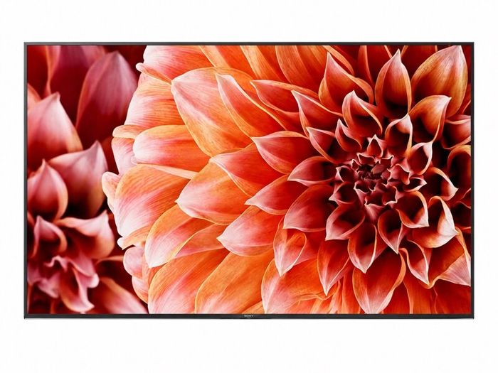 Sony Bravia Kd65xf9005bu, 65 Inch Tv