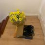 male shoe Image 7