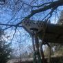 garden zip line Image 4
