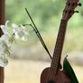 Ukulele with Free Tuner and Case Image 6
