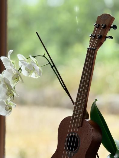 Ukulele with Free Tuner and Case