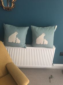 Pair of cushions